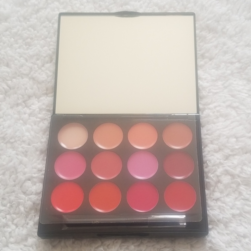 Brand New Ish Lip Statement Palette